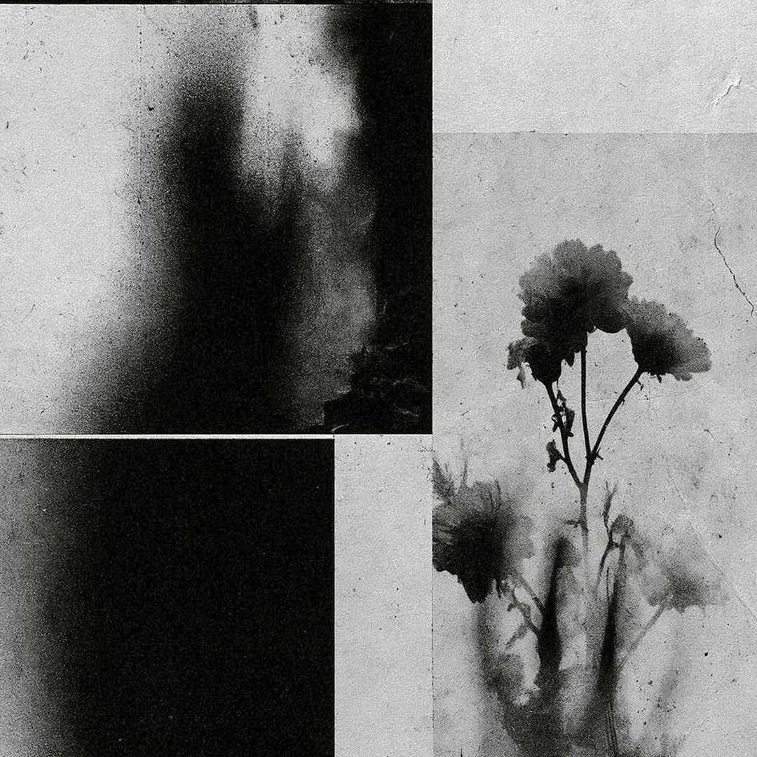 AI-generierte Schwarz-Weiß-Collage mit gepresster Blume